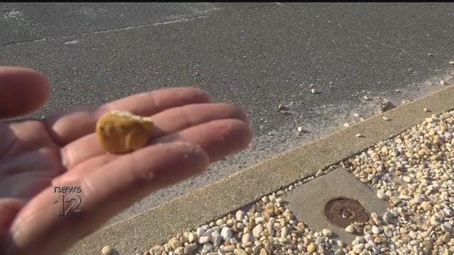 Article 29881 Thumbnail