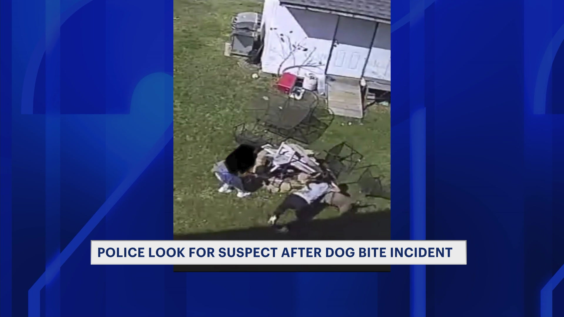 torringtondogbite0403_2026-04-03-21-19-08