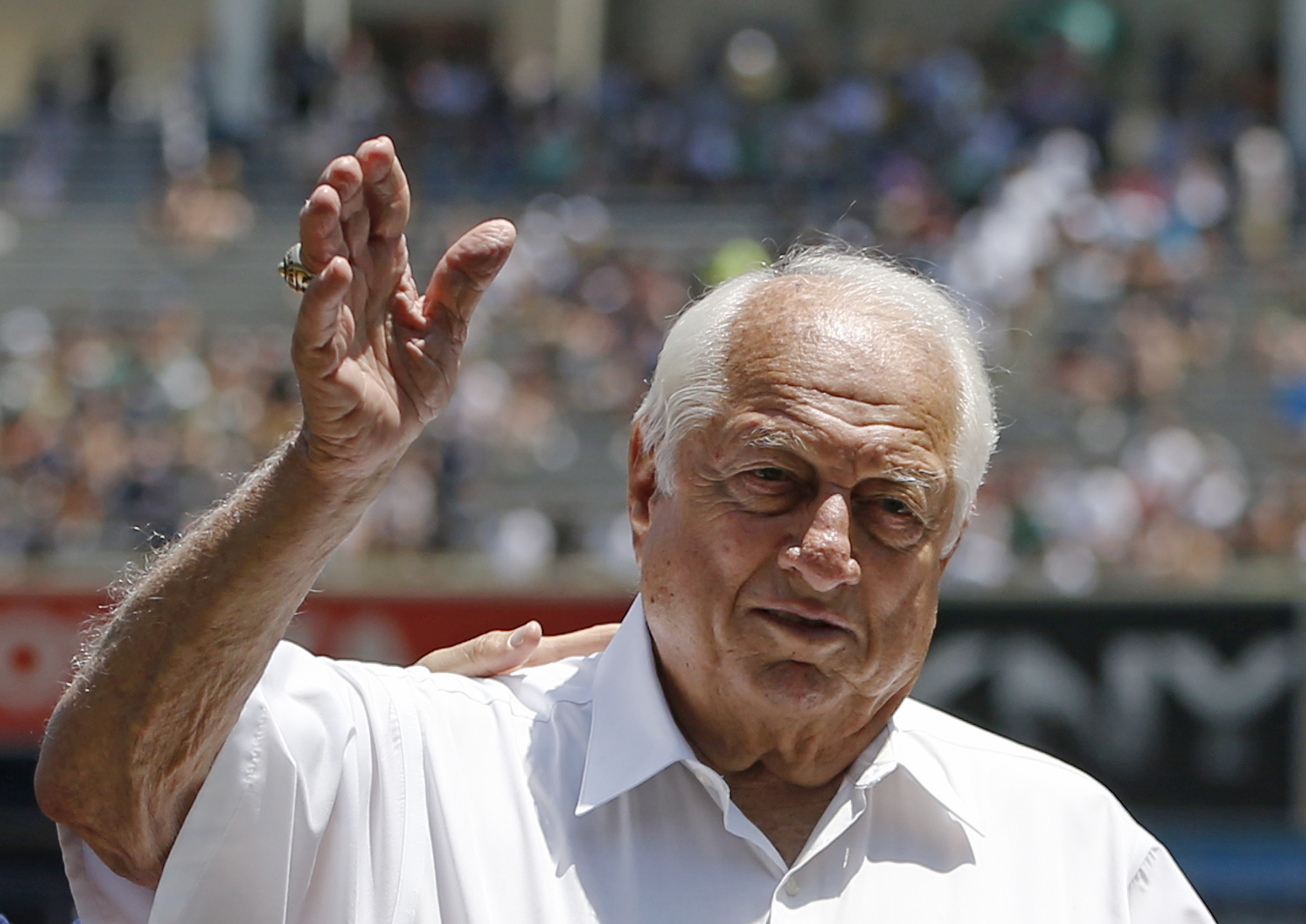 Article 249010 Hero Image