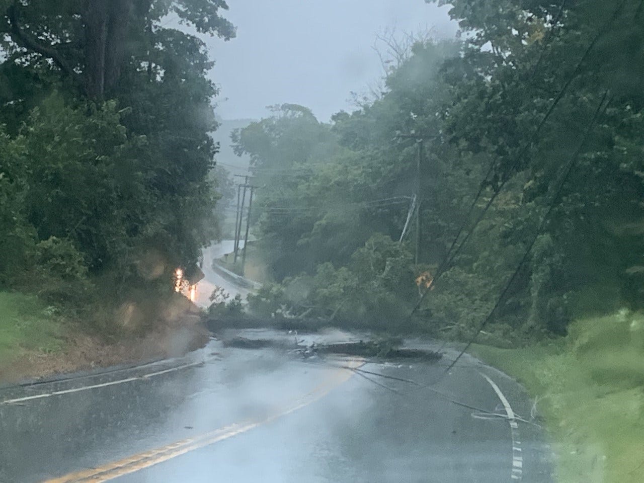 Article 11190 Thumbnail