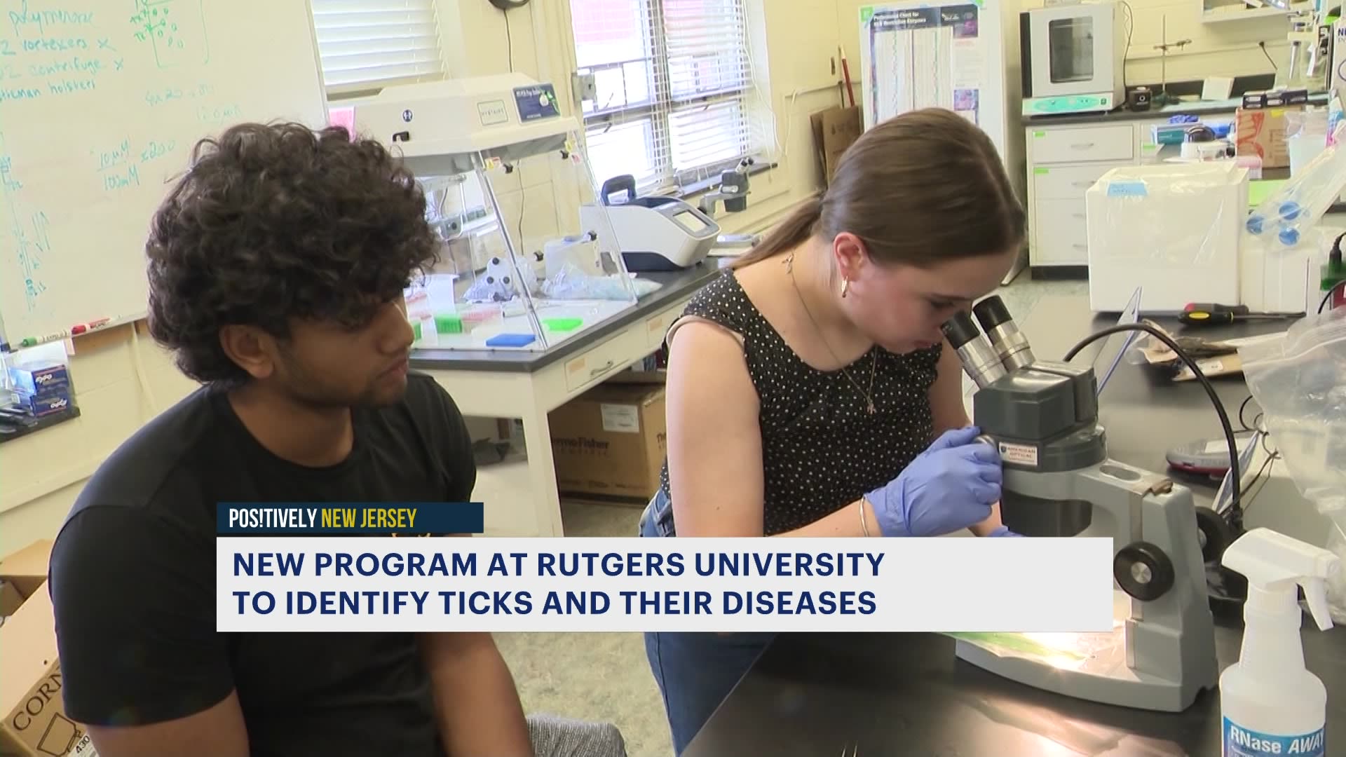 spot-a-tick-rutgers-scientists-would-like-to-see-it