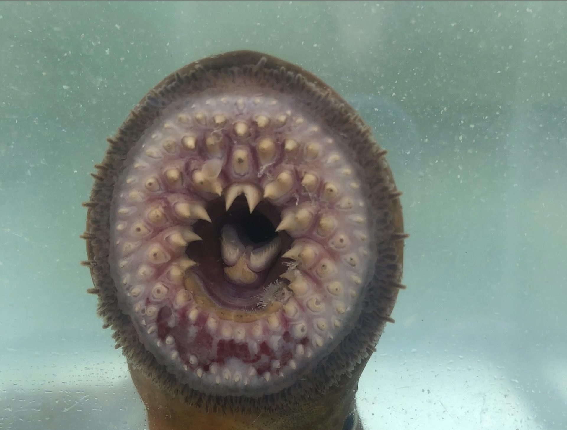 Article 303899 Hero Image