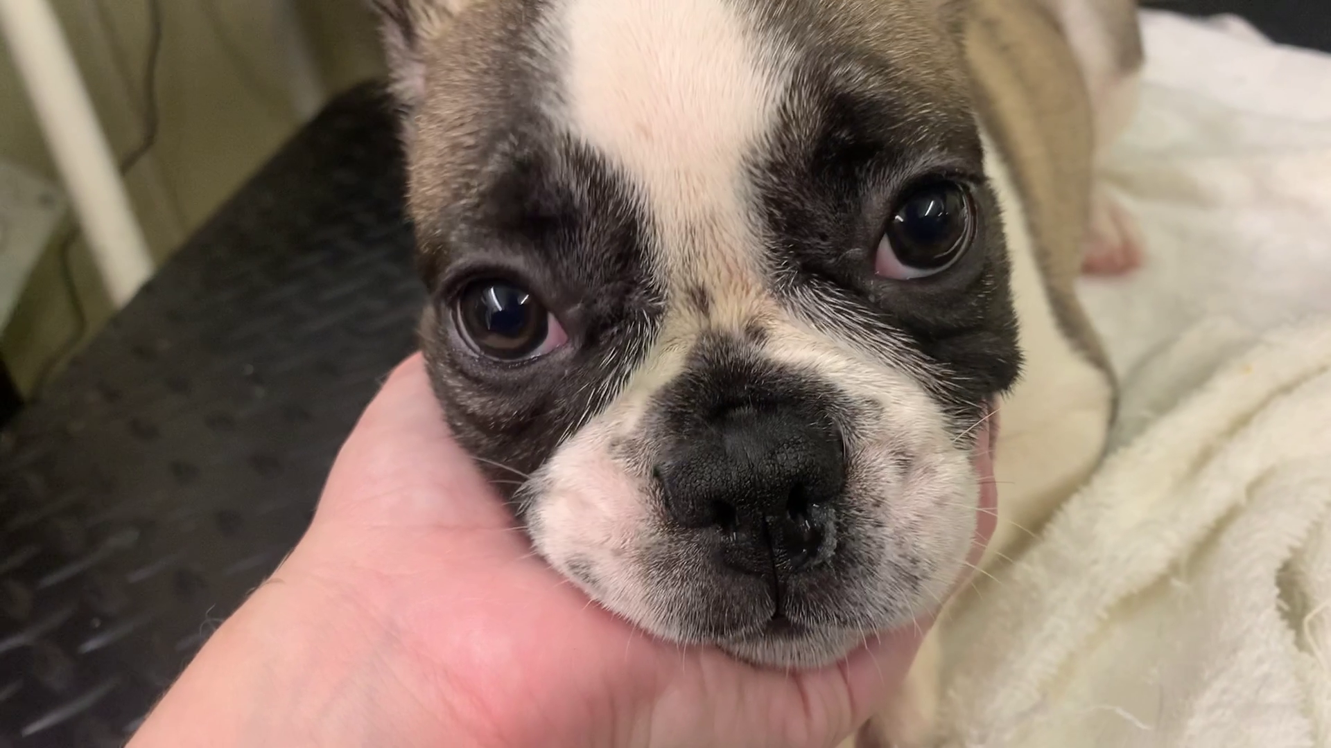 Article 279606 Hero Image