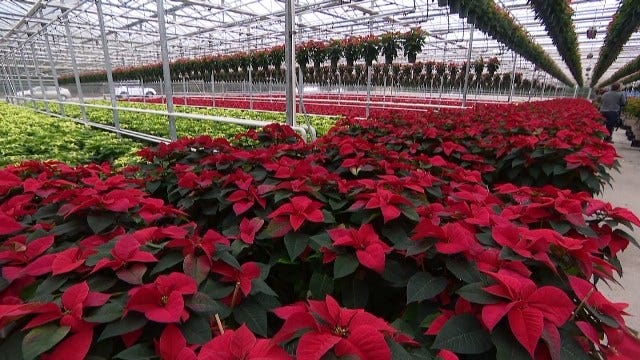 Article 151193 Thumbnail