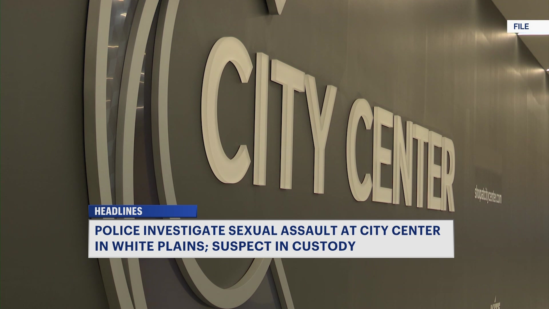 4092026WHITEPLAINSSEXASSAULT_2026-04-09-05-39-44