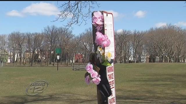 Article 46096 Thumbnail