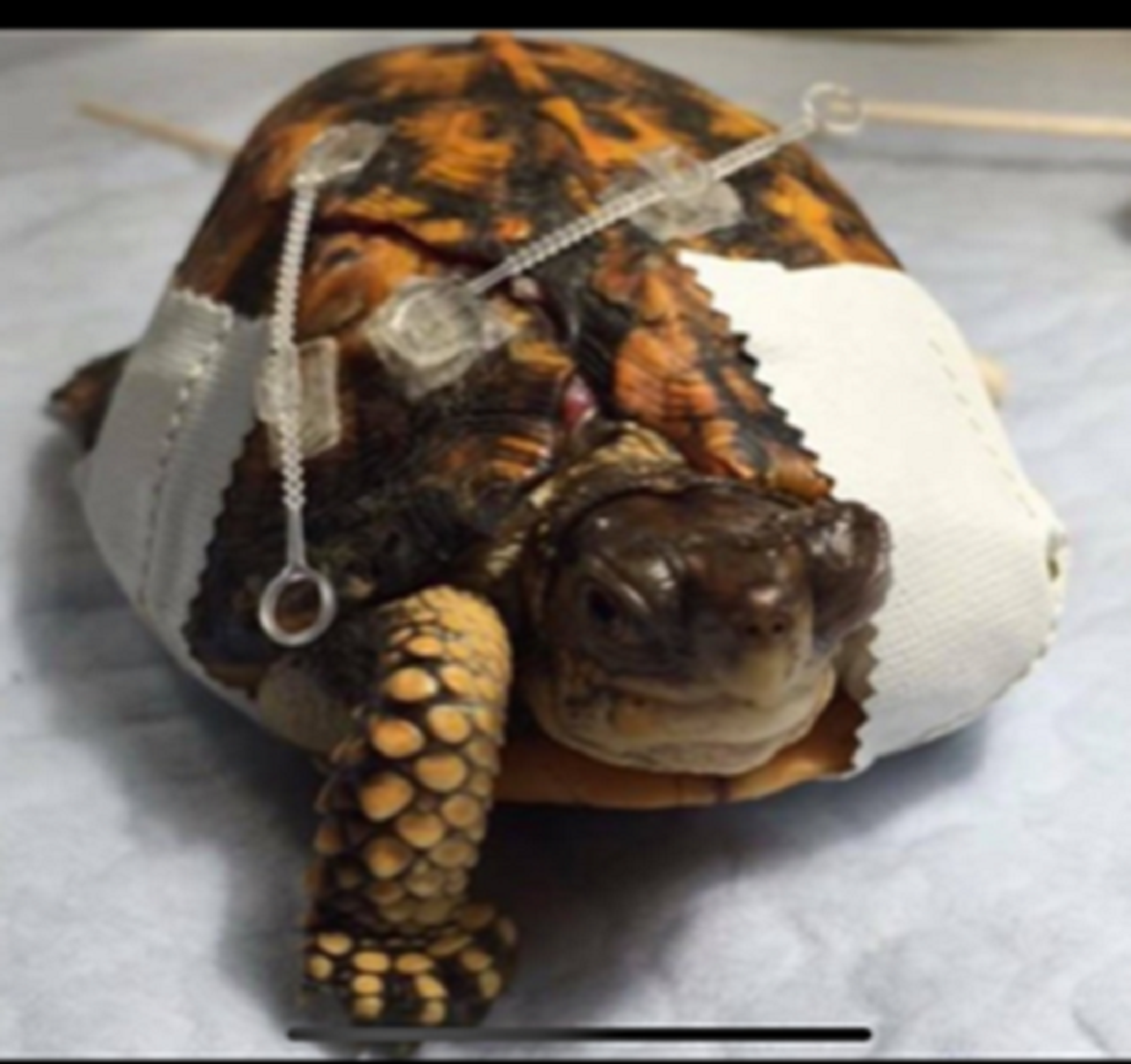 Article 292469 Hero Image