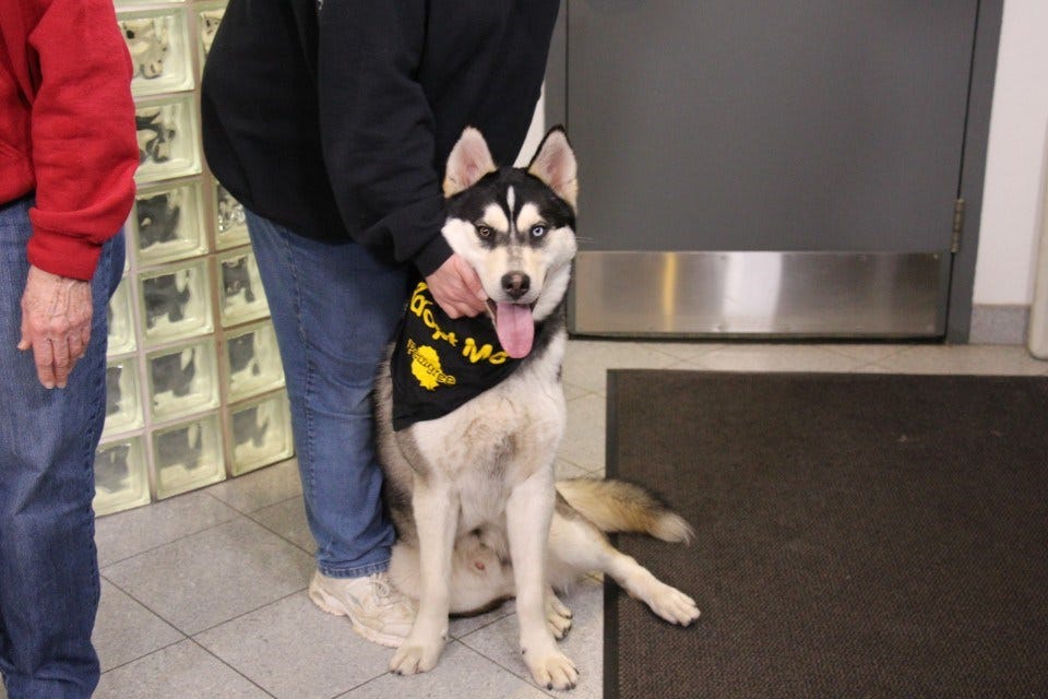 Article 117826 Thumbnail