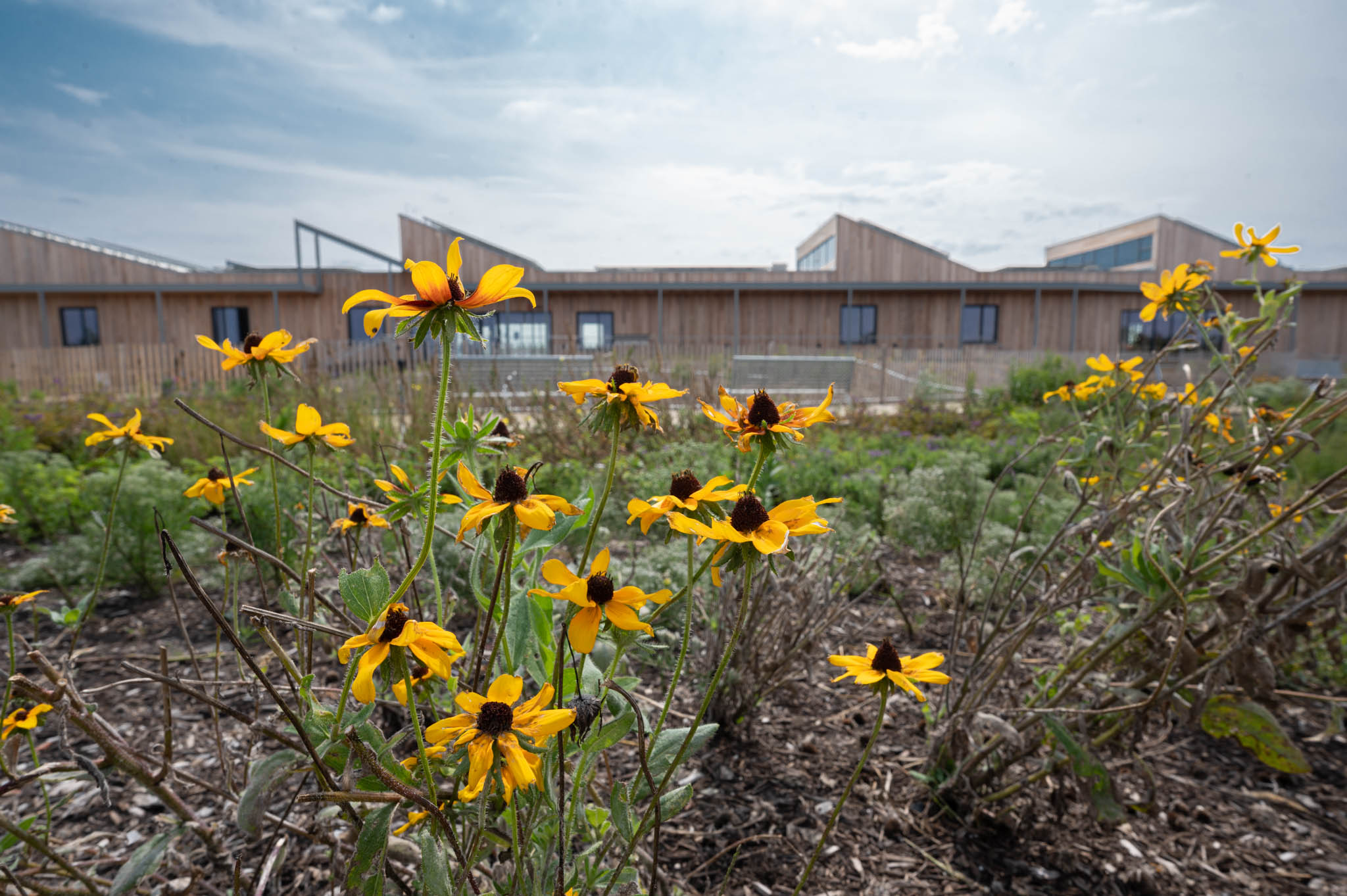 Article 250677 Hero Image