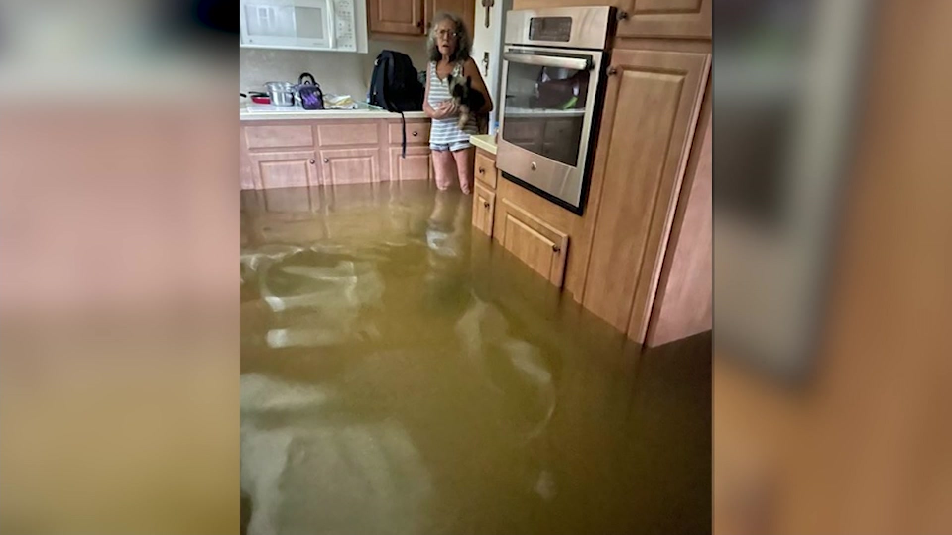 Article 273475 Thumbnail