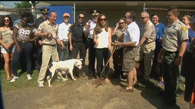 Article 127199 Thumbnail