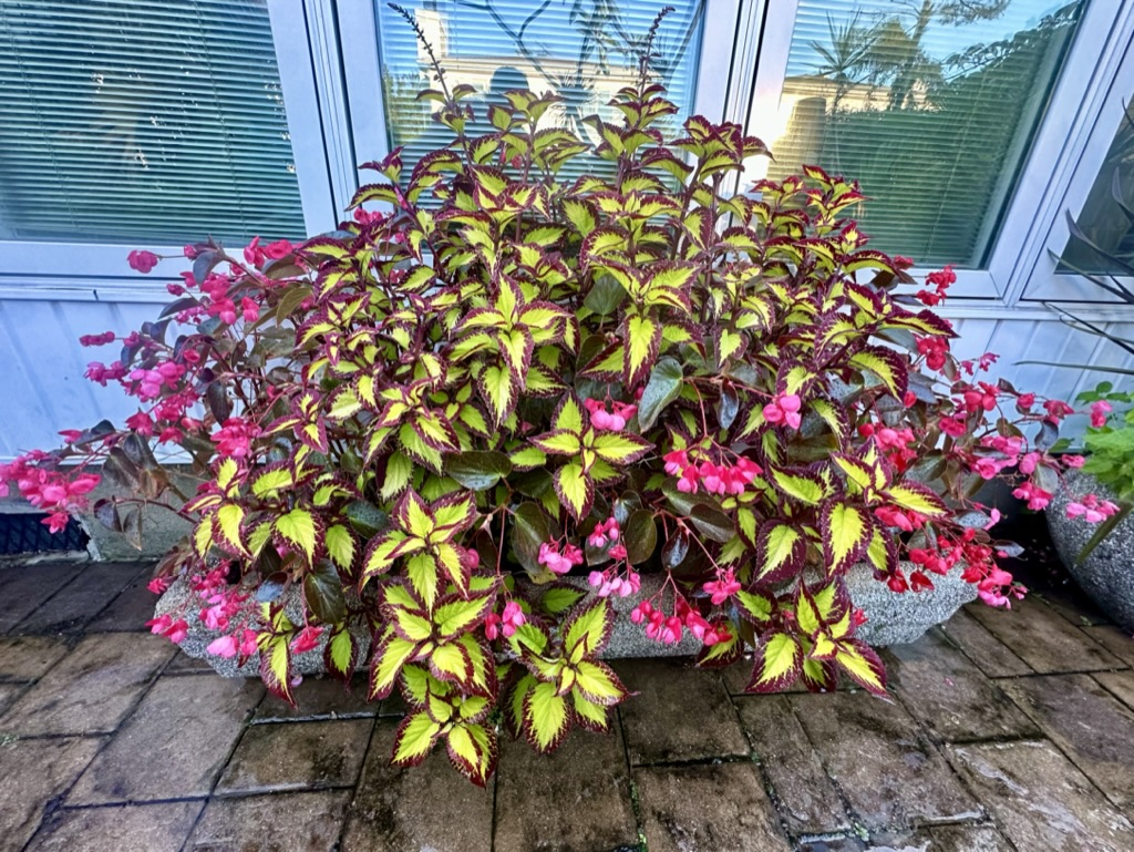 different textures.jpeg