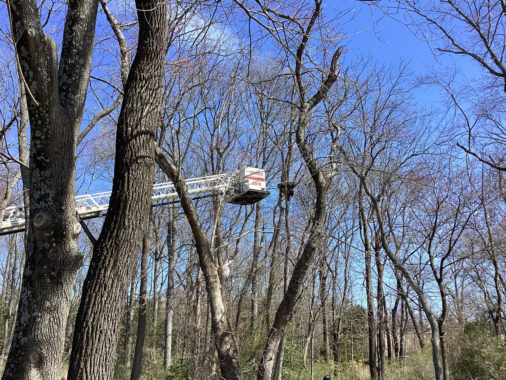 657603057 122201829560442582 2508210387354485522 n