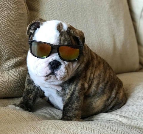 Article 126011 Thumbnail