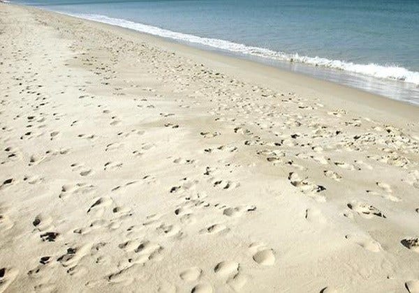 Article 13058 Thumbnail