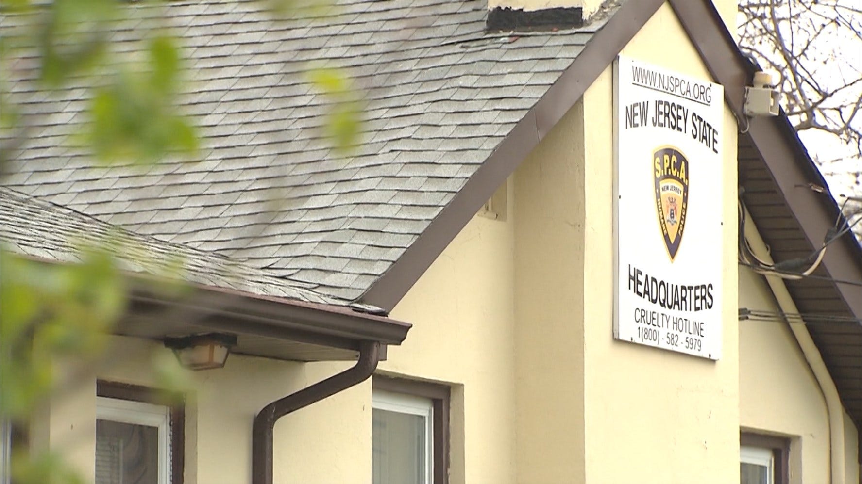 Article 115916 Thumbnail