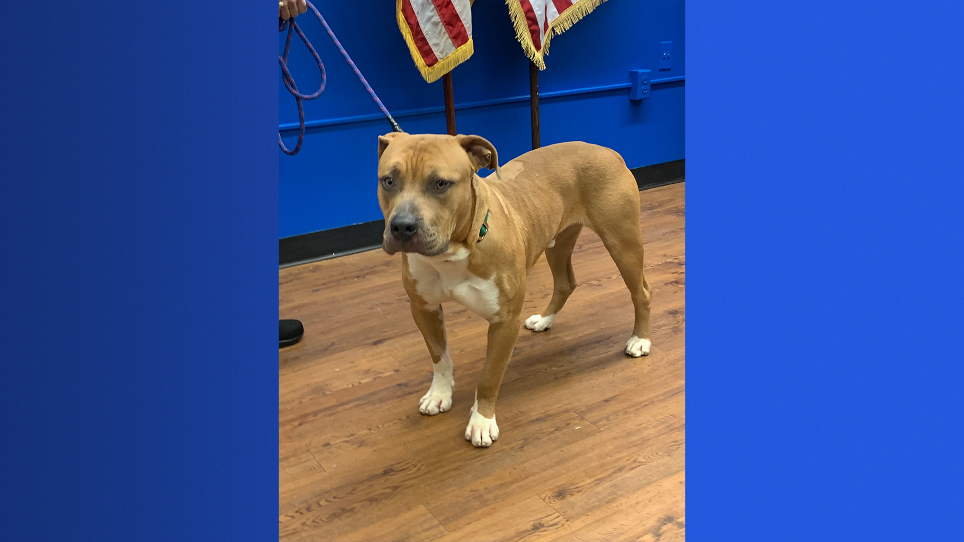 MicrosoftTeams-image (18).png