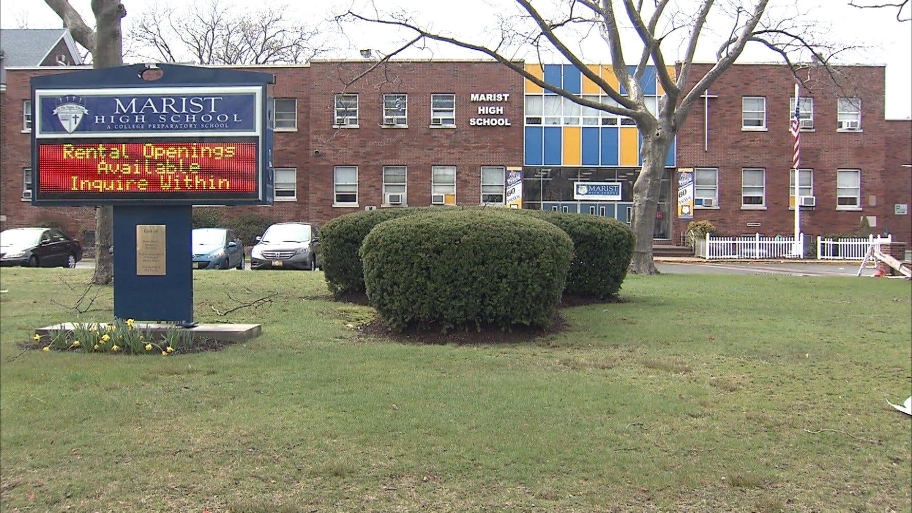 Article 115596 Thumbnail