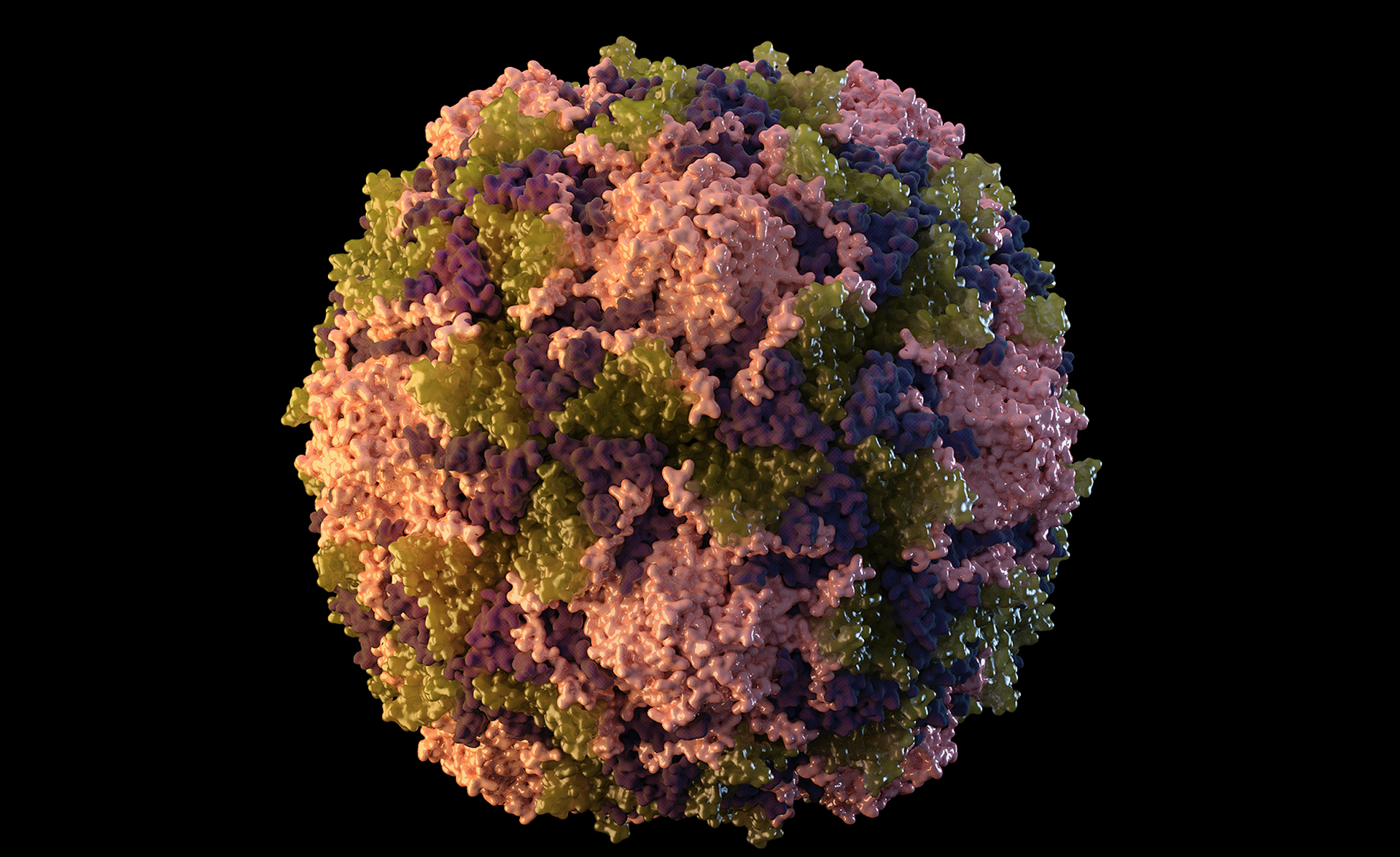 Article 304092 Hero Image