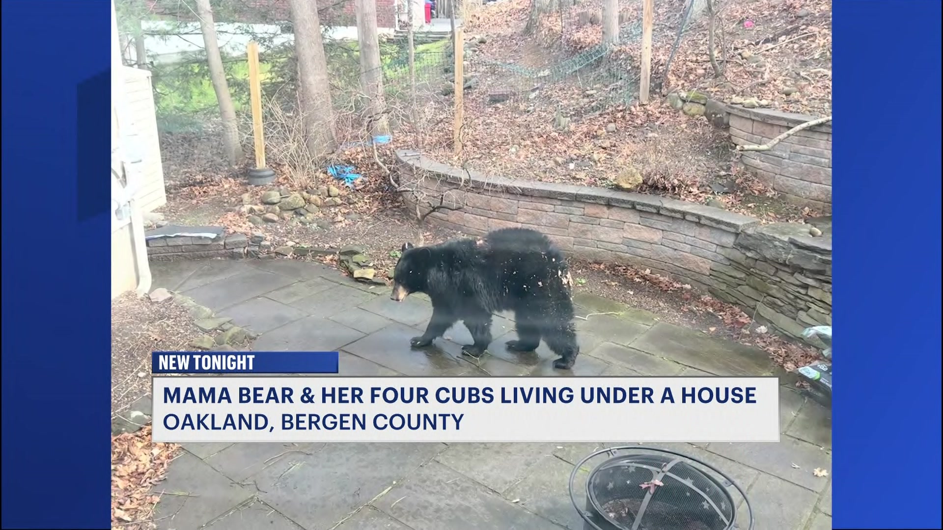 REJennibears413_2026-04-13-22-23-49