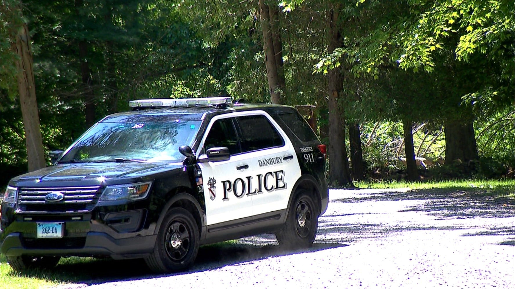 Article 122084 Thumbnail