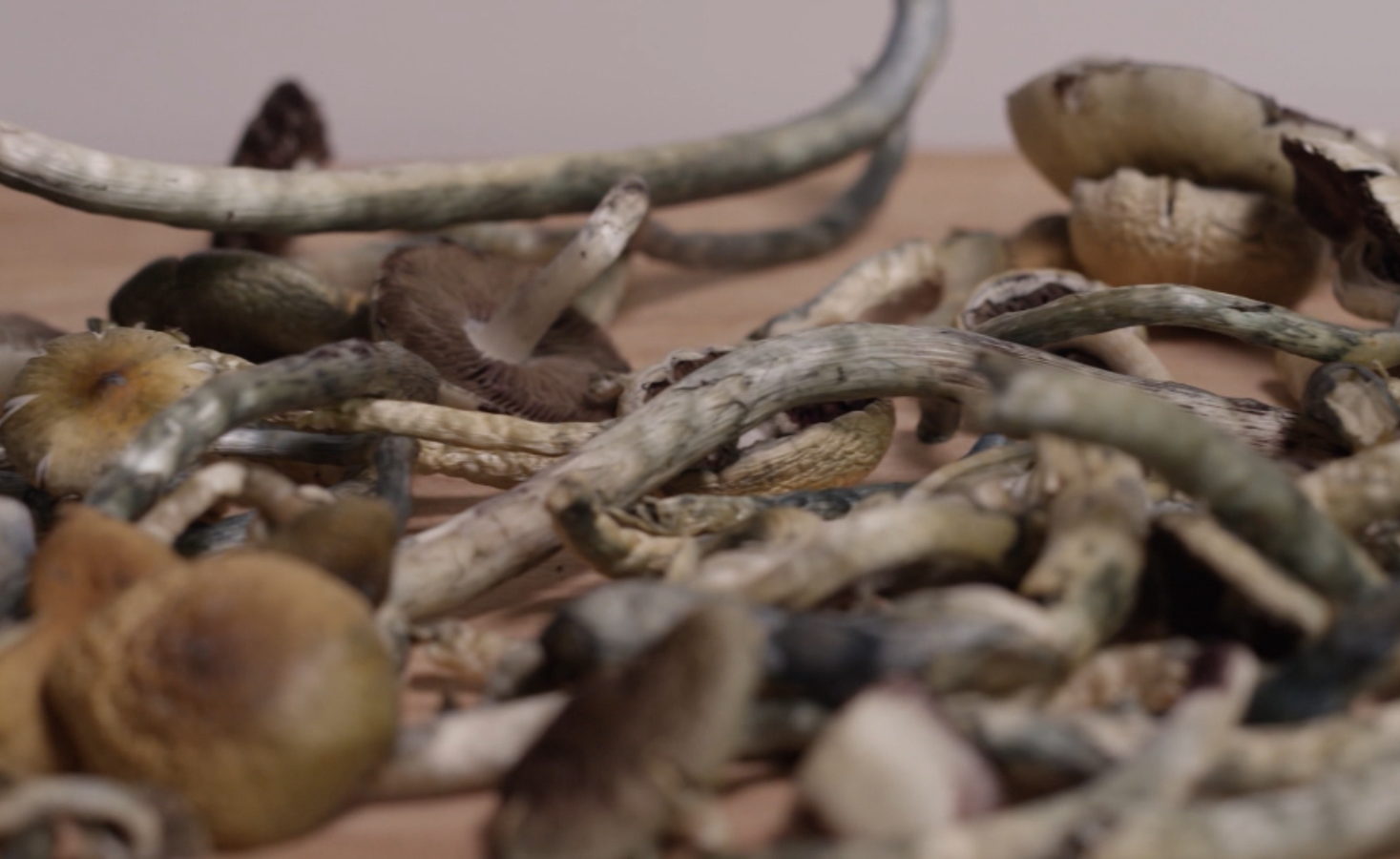 Screenshot 2026-04-09 062956