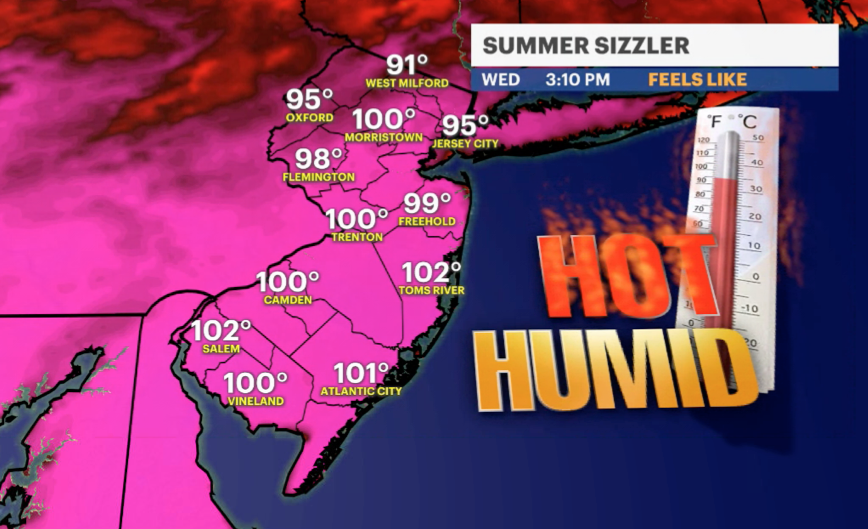 Article 12527 Thumbnail