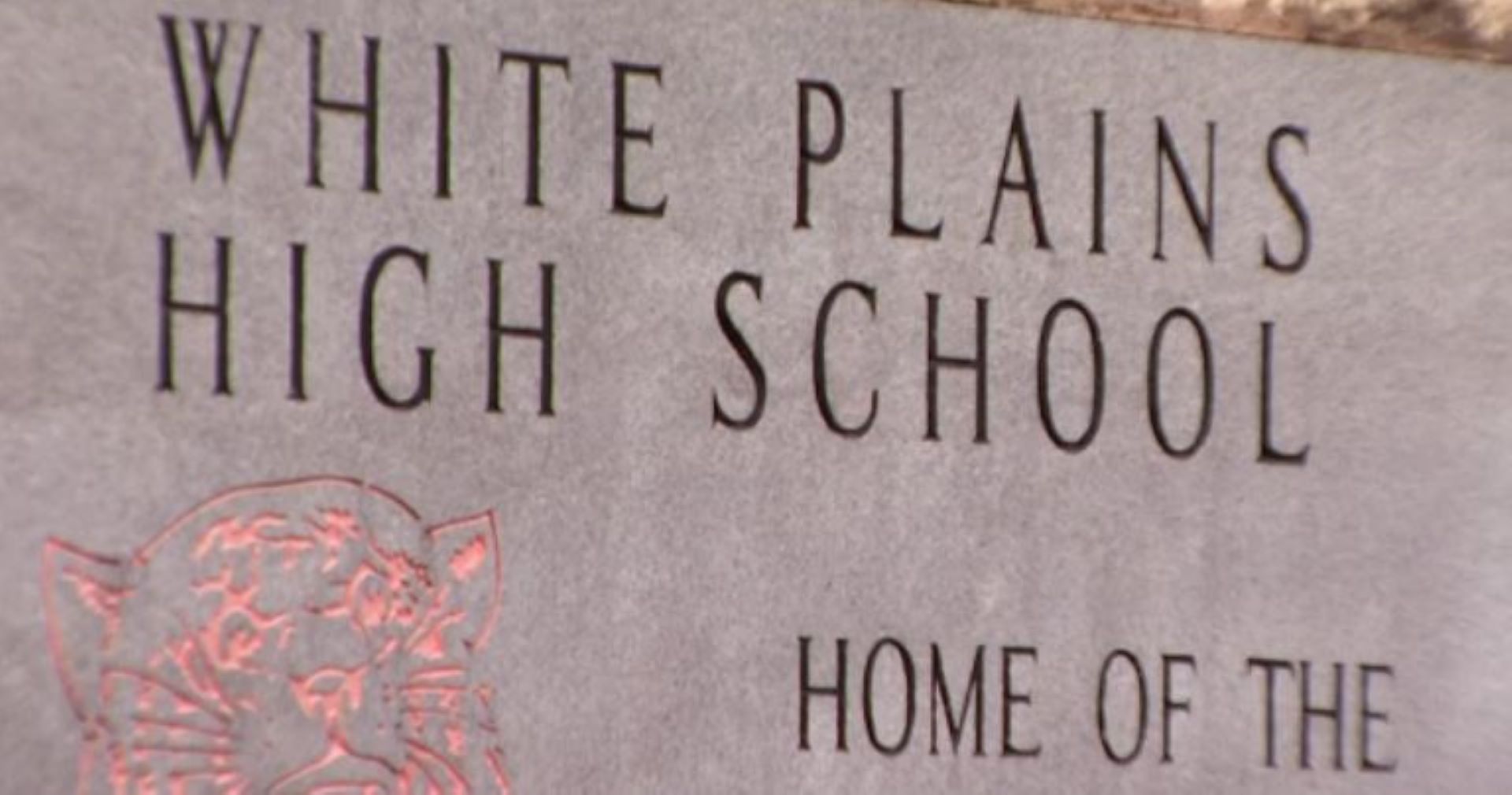 Article 294704 Hero Image