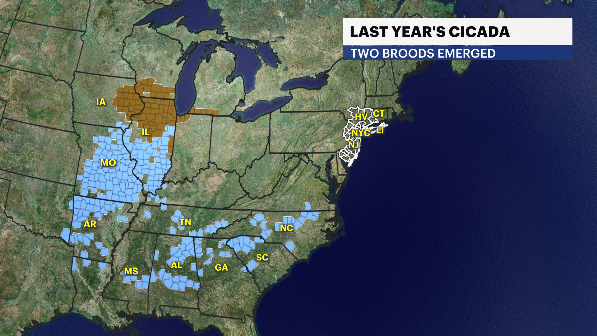 LAST YEAR CICADA BROODS WEB.png