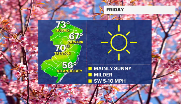 Screenshot 2026-04-09 154636.png