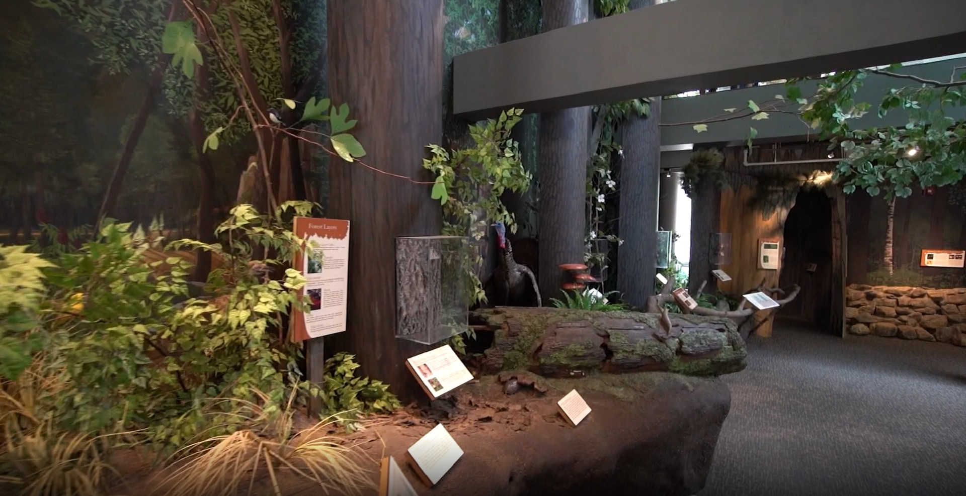Looking for a road trip? Check out Trailside Nature & Science Center in