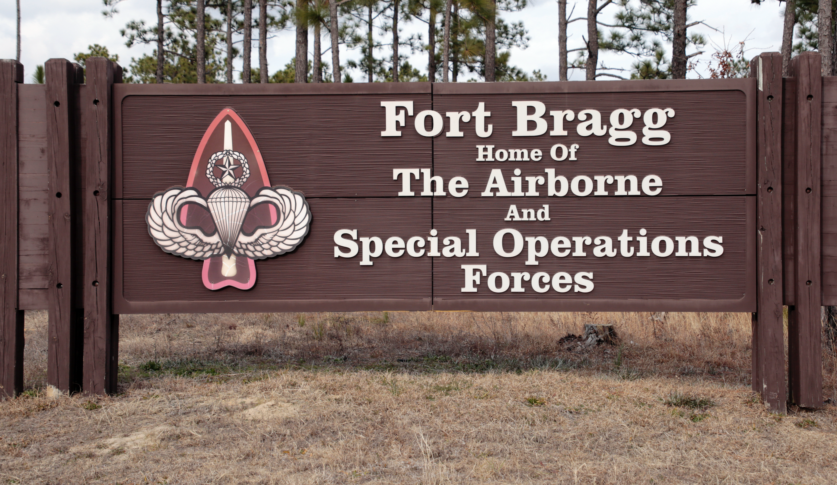 Article 294665 Hero Image