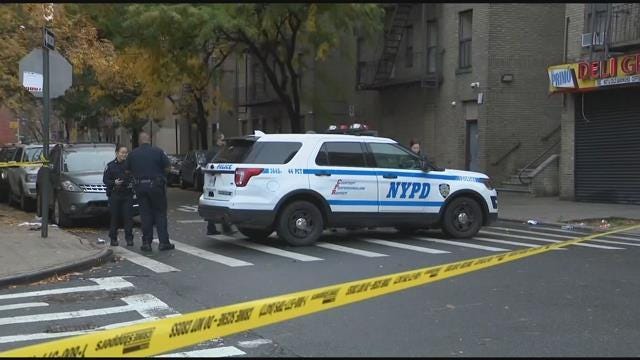 Article 40524 Thumbnail