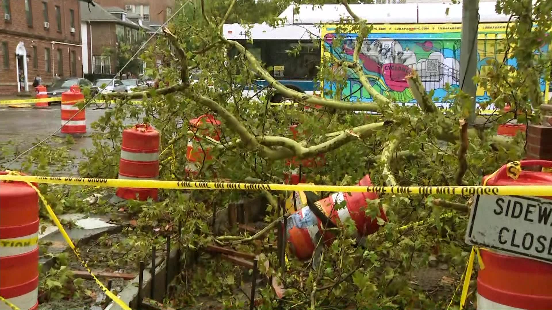 New Utrecht, Bensonhurst sees damage from stormy weather