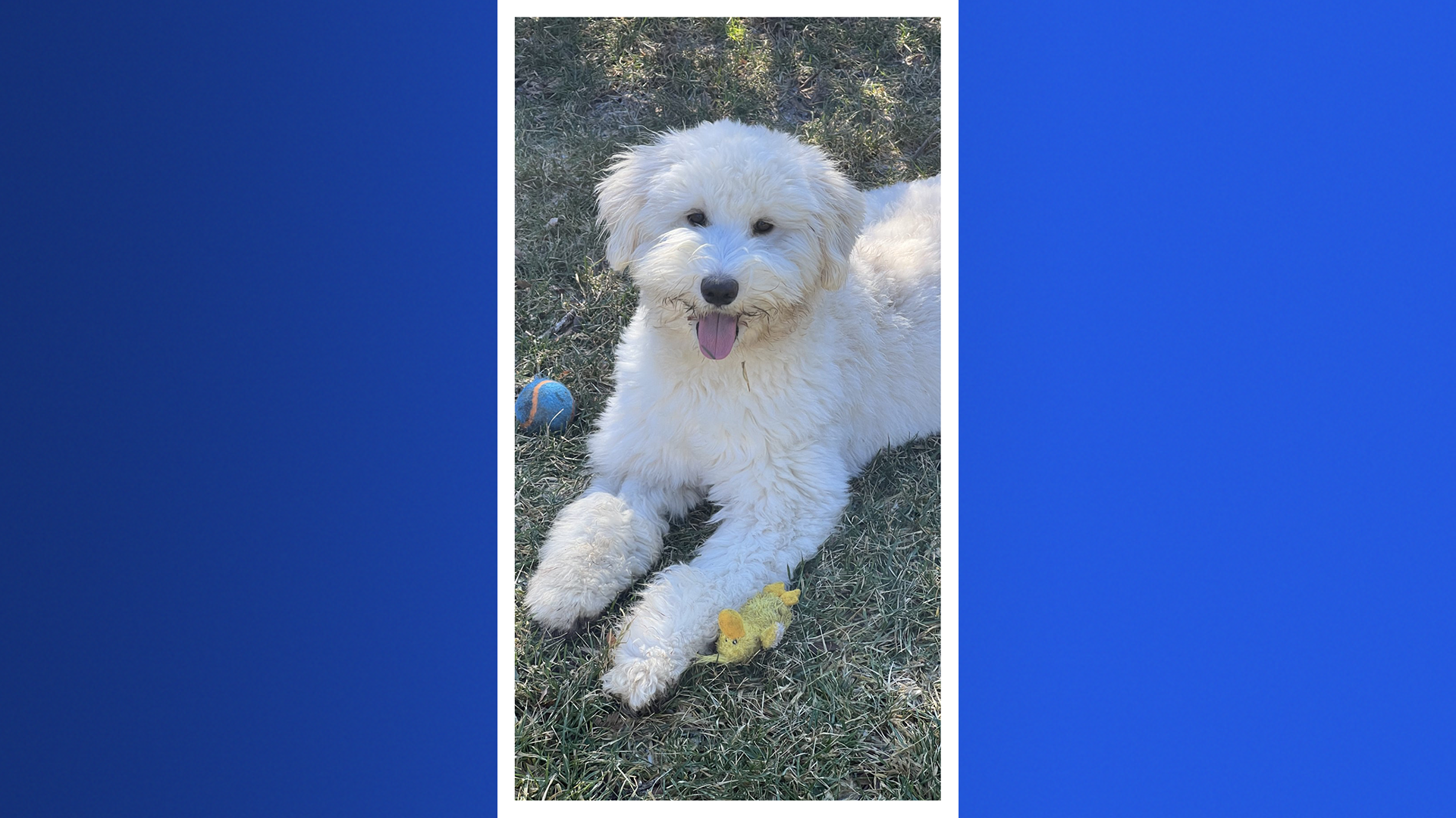 MicrosoftTeams-image (2).png