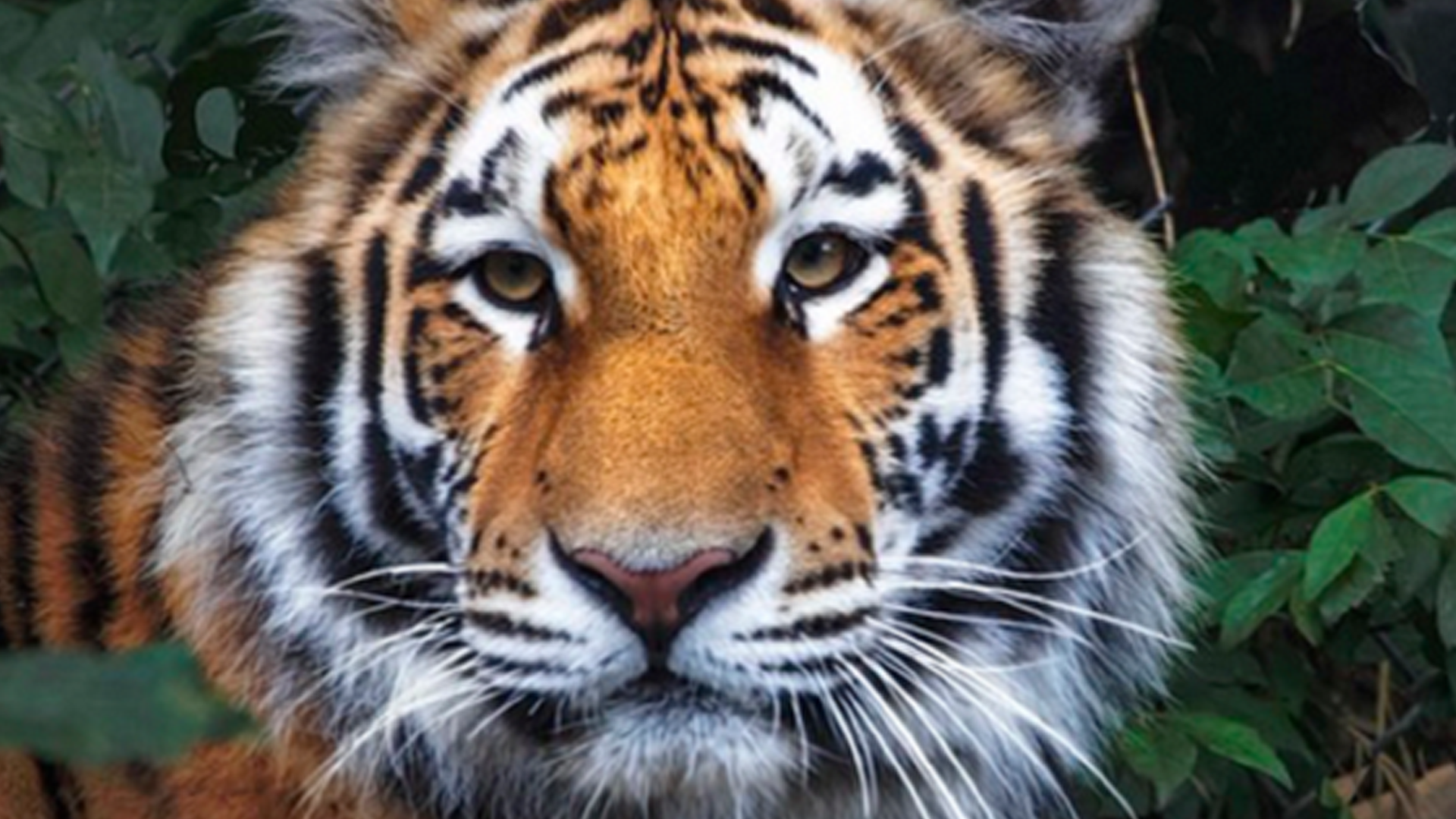 Article 275263 Hero Image