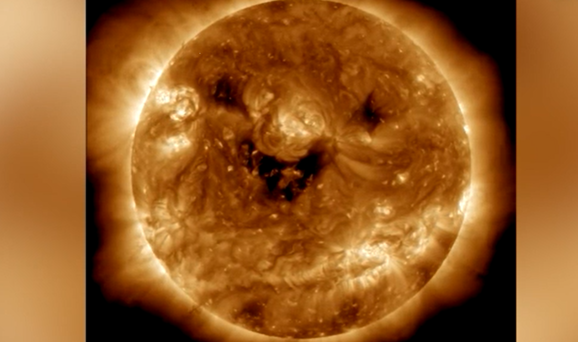 Article 310239 Hero Image