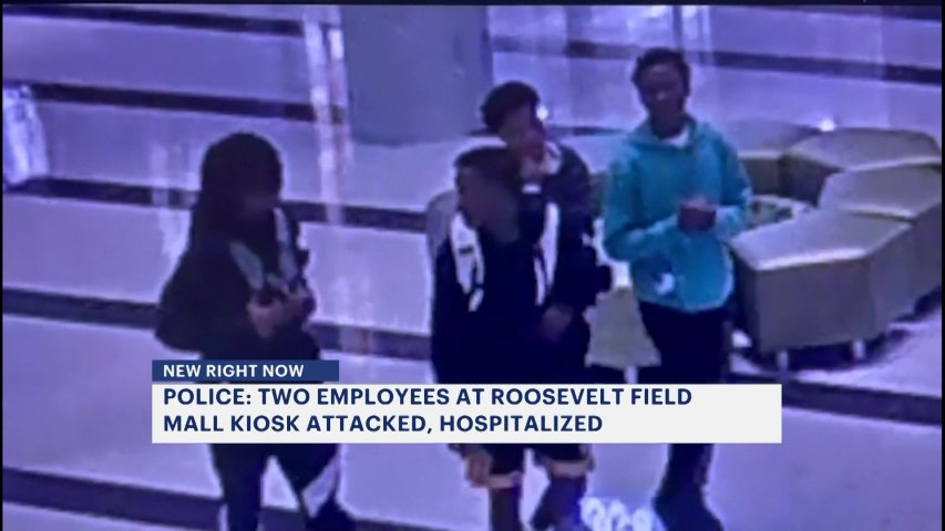 Police: $23,000 worth of bags stolen from Roosevelt Field Mall's