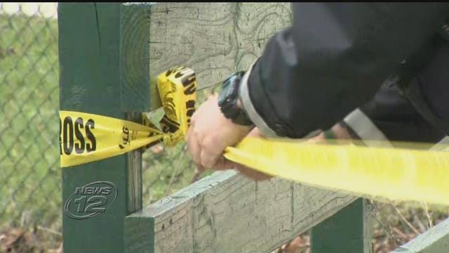 Article 124189 Thumbnail