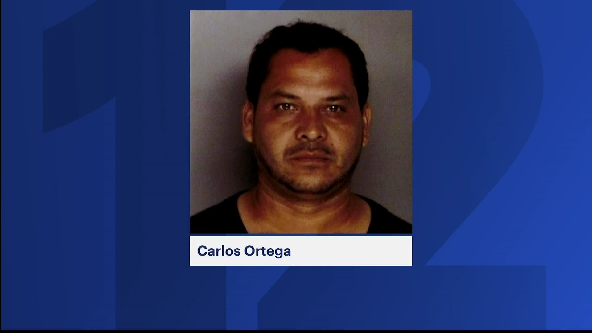 Central Islip man sentenced to 8 years for assaulting 2 nephews with