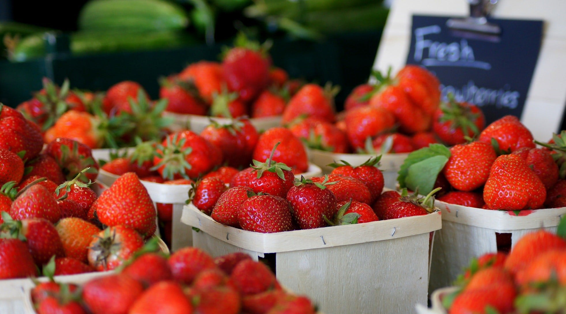 Article 120831 Thumbnail