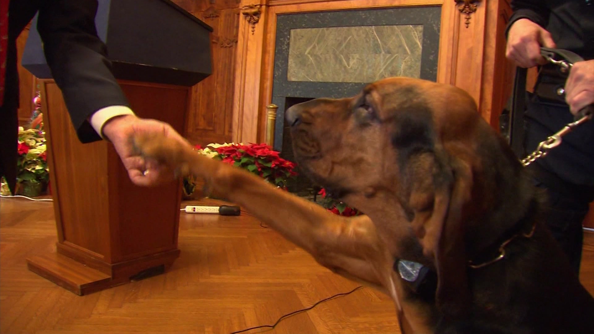 482026WCdog_2026-04-08-07-15-18