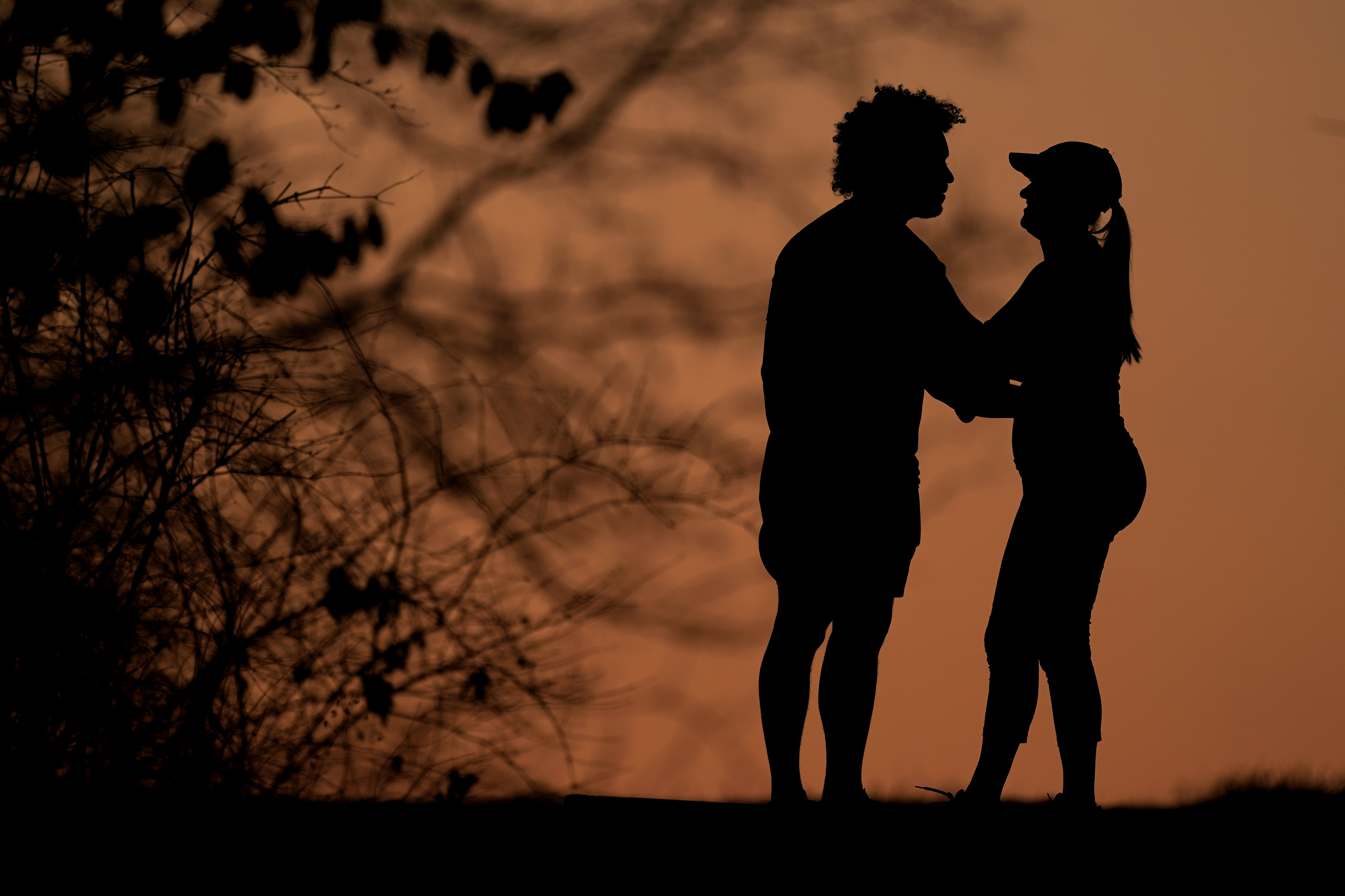 Article 286727 Hero Image