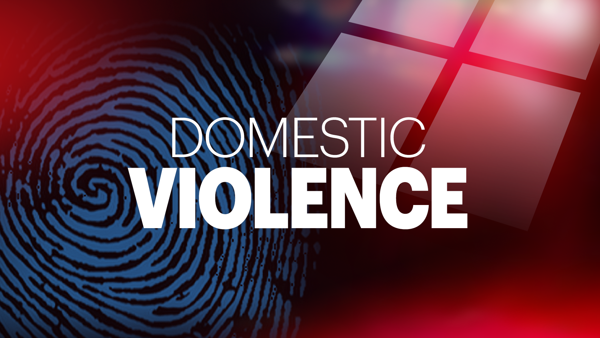 domestic(violence) copy