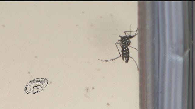 Article 133843 Thumbnail