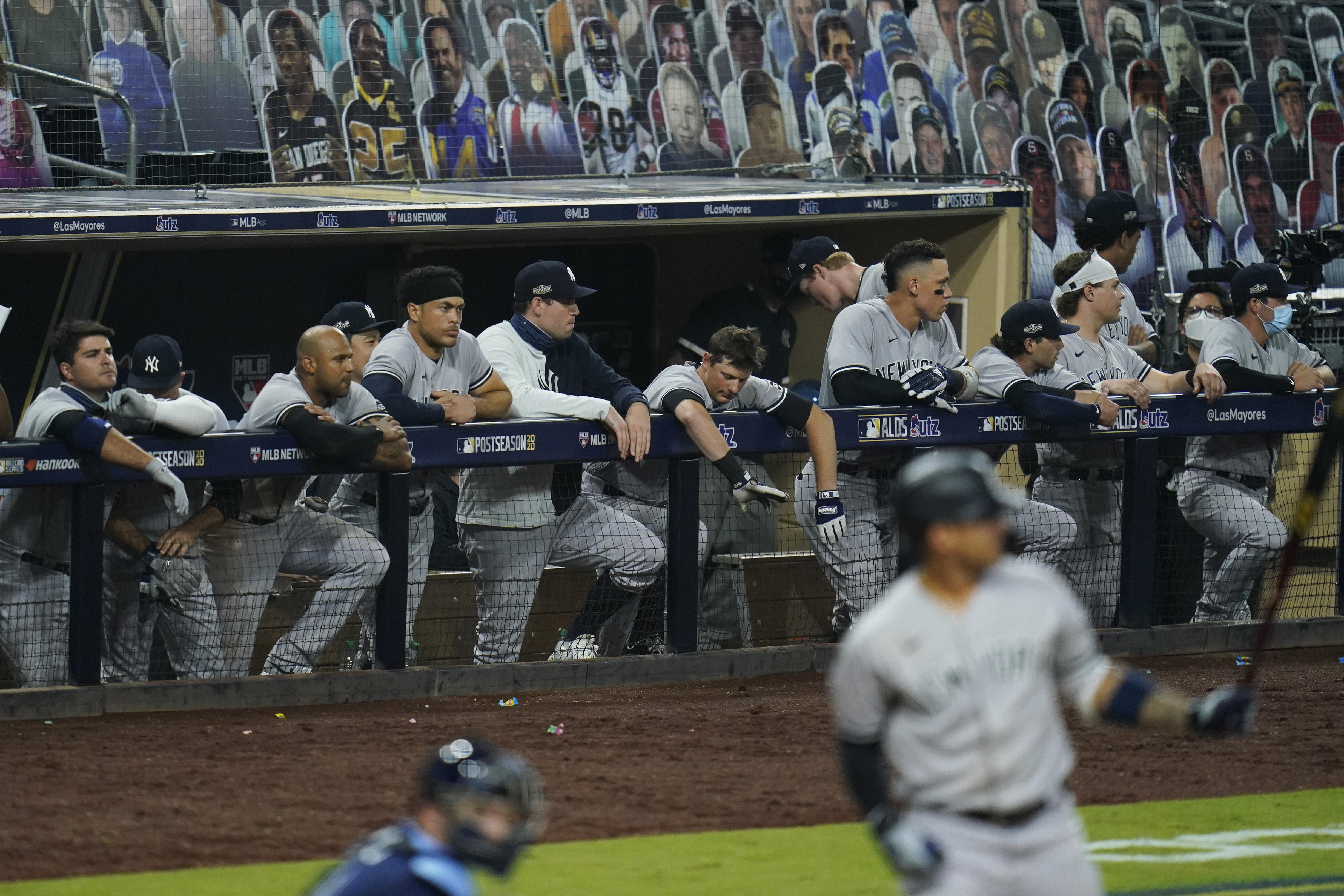 Article 256931 Hero Image