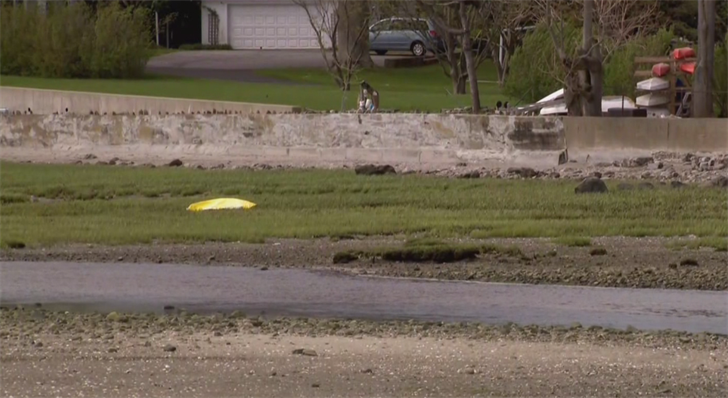 Article 110545 Thumbnail