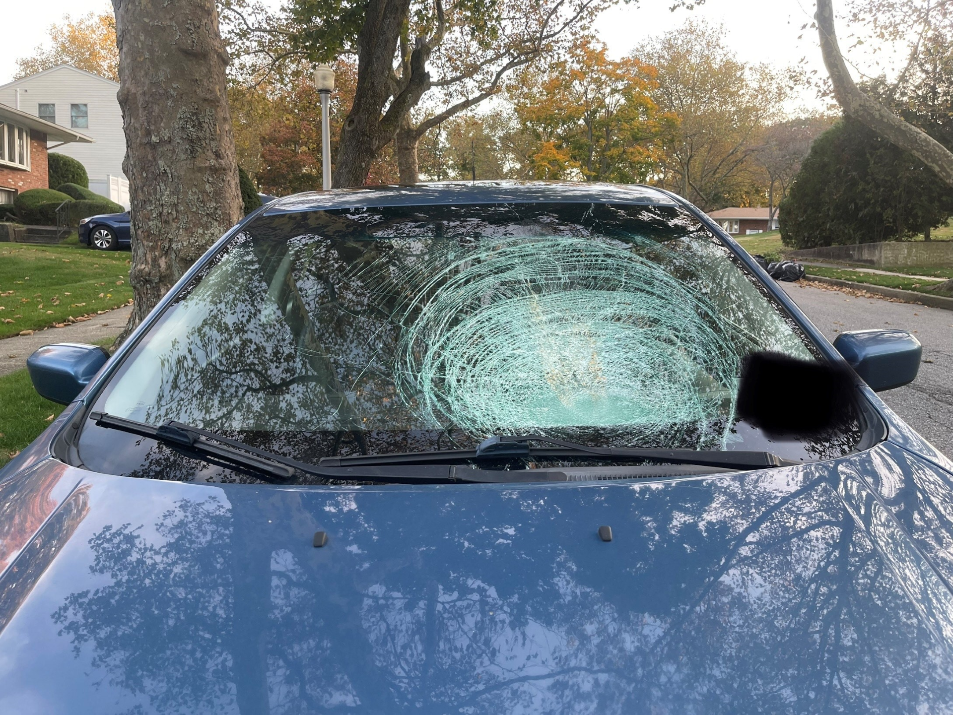 Article 310213 Hero Image