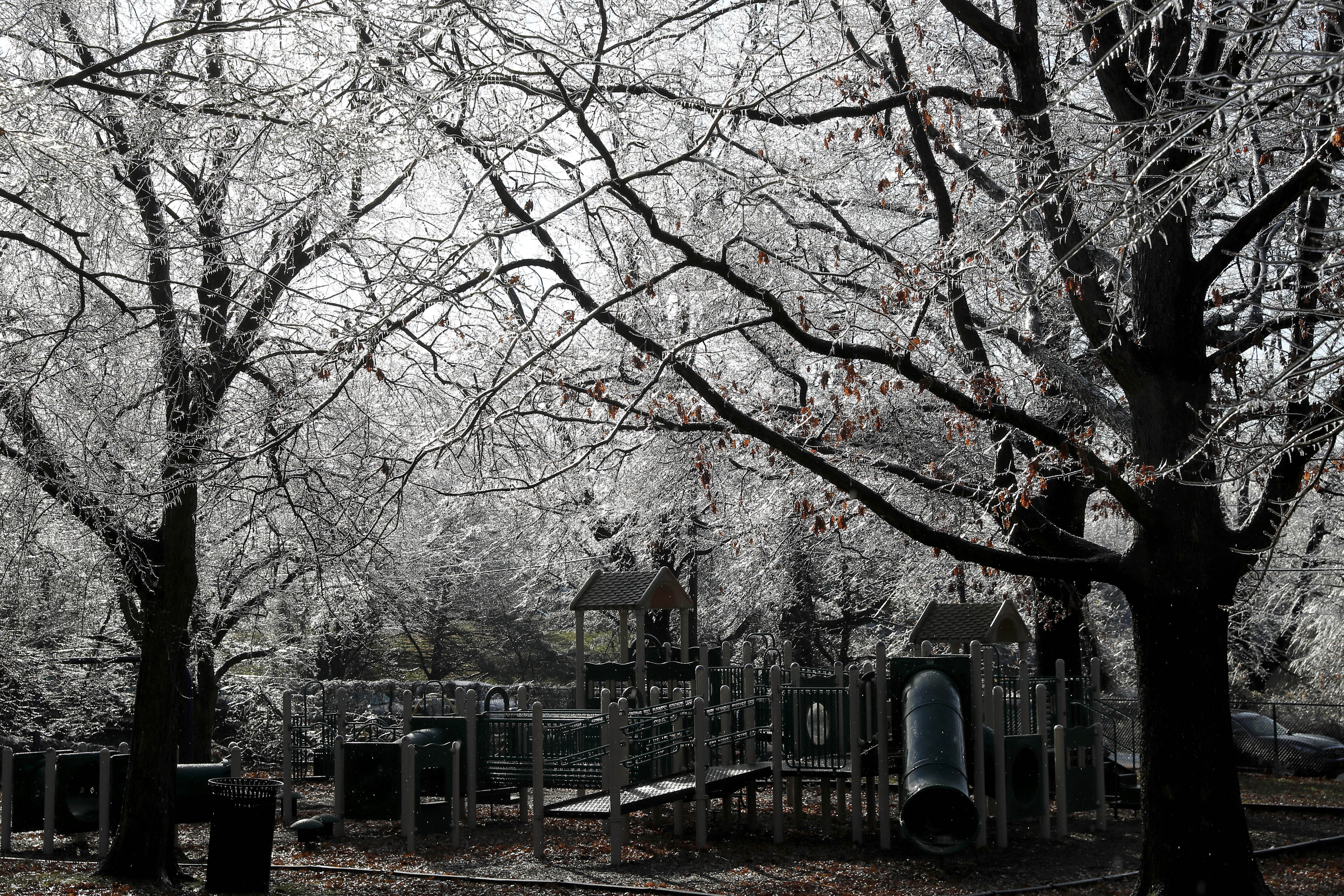 Article 250561 Hero Image