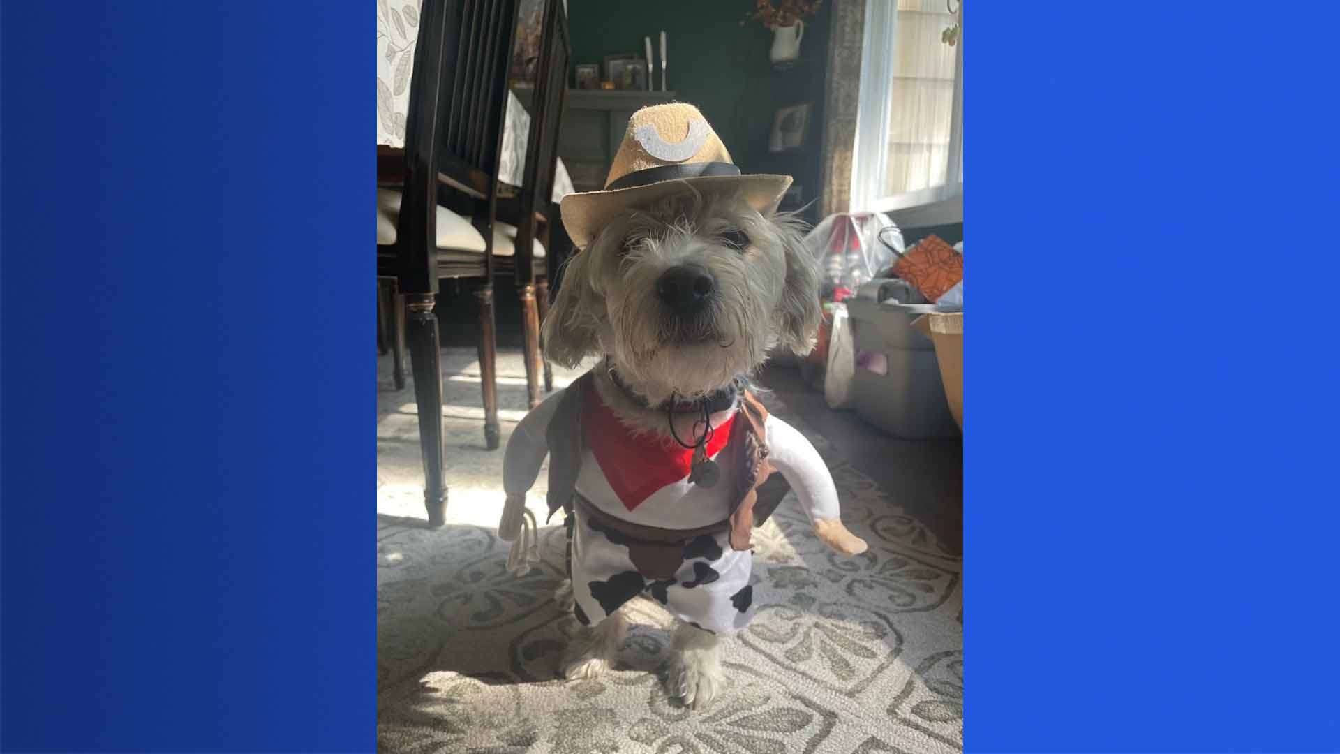 Article 308305 Thumbnail